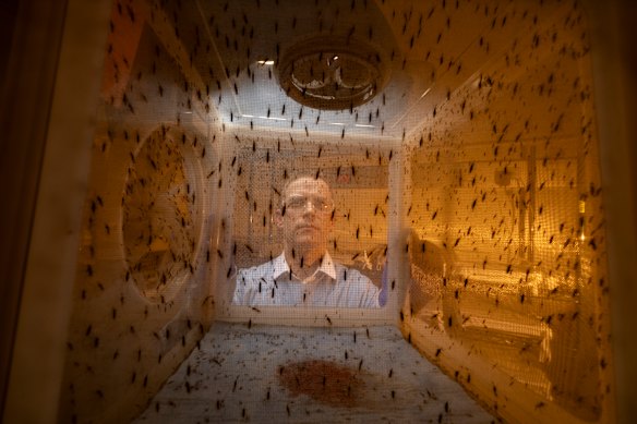 Associate Professor Justin Boddey, a malaria researcher at WEHI, and his colleagues may have found a way to turn mosquito bites from a disease-causing tragedy to an immune-boosting triumph.