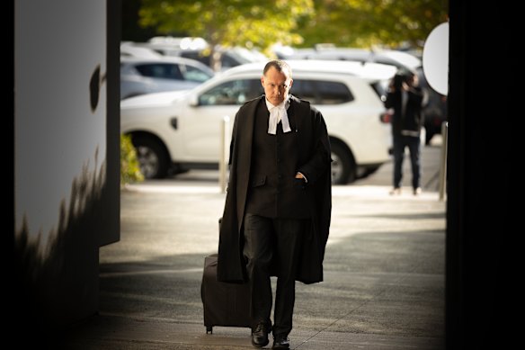 Defence counsel Colin Mandy, SC.