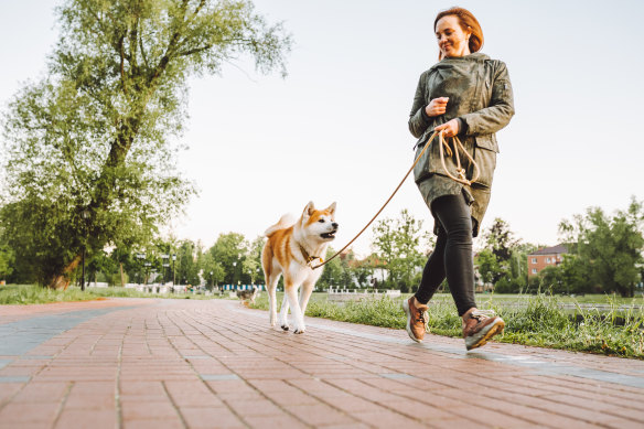 Whether or not 10,000 steps are the answer to everyone’s problems, professionals agree that walking is an underrated form of exercise.   