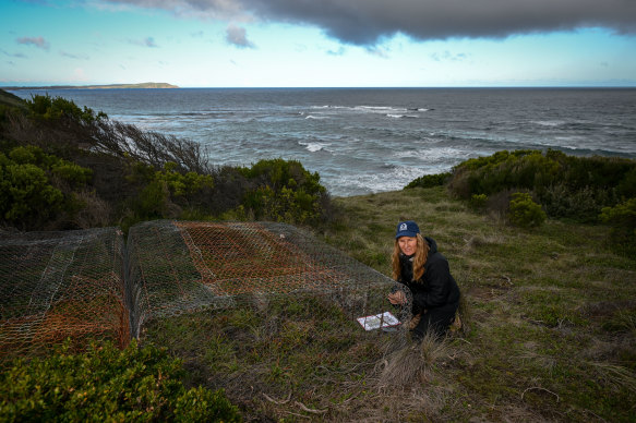 Gayle Seddon with a rabbit-proof cage on Phillip Island. 