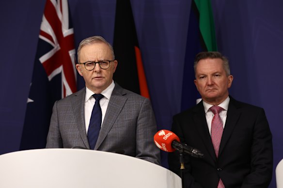 Prime Minister Anthony Albanese and Energy Minister Chris Bowen have been primary targets of One Nation’s ire. 