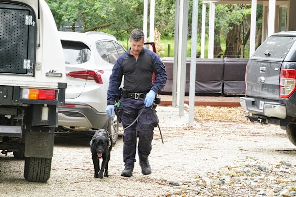 A police dog helps search Erin Patterson’s Leongatha home for electronic devices in November 2023.