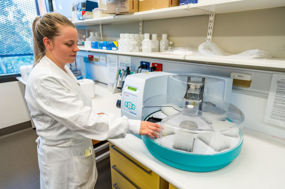 Shannon Mollica, technical officer in the virology laboratory at Elizabeth Macarthur Agricultural Institute.