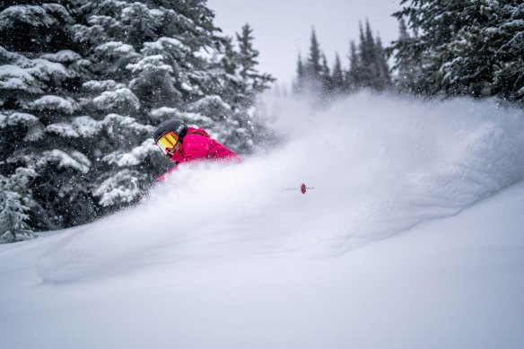 Skiing the powder snow at Silver Star, Canada