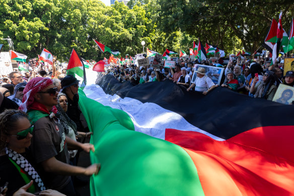 People rally at a pro-Palestine protest in Hyde Park, Sydney on Sunday.