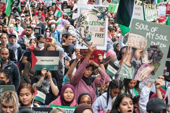 The Free Palestine rally in Melbourne’s city centre on Sunday.