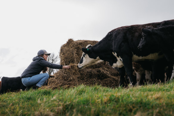 Harvey says within months of arriving in NZ, she and her husband were essentially factory farming.