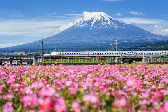 JR Shinkansen train whizzes past Mount Fuji.