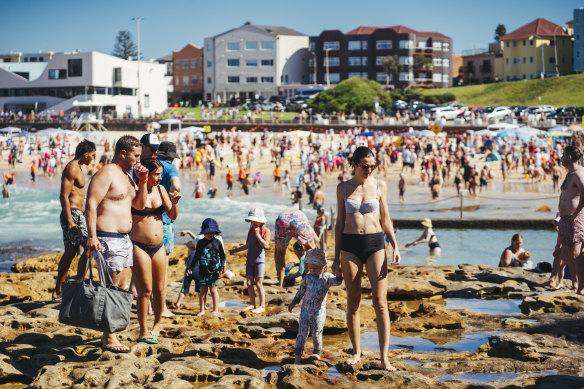 Waverley Council warns Bondi Beach’s population will triple under the Minns government’s reforms to low- and mid-rise housing.