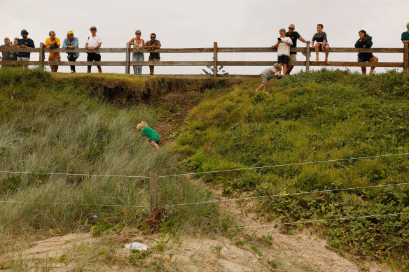 Spectators to wild surf in Byron on Thursday.