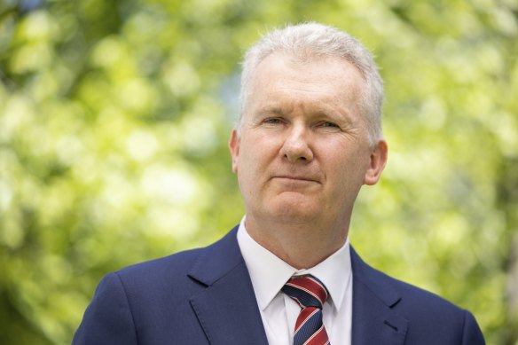 Workplace Relations Minister Tony Burke says he will consider a ban on importing engineered stone.