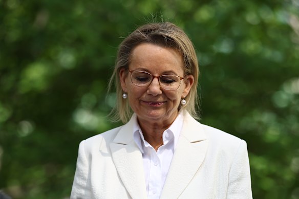 Sussan Ley addressed the media after her ousting as Liberal leader on Friday.