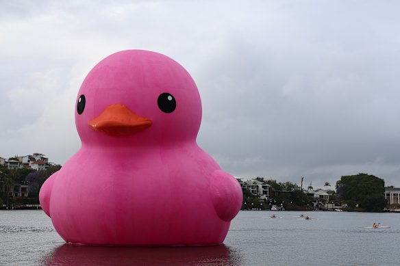 Melt Festival 2026: Giant pink rubber duck arrives in Brisbane to ...