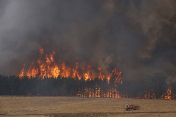 The "mega fire" is now 600,000 hectares in size.