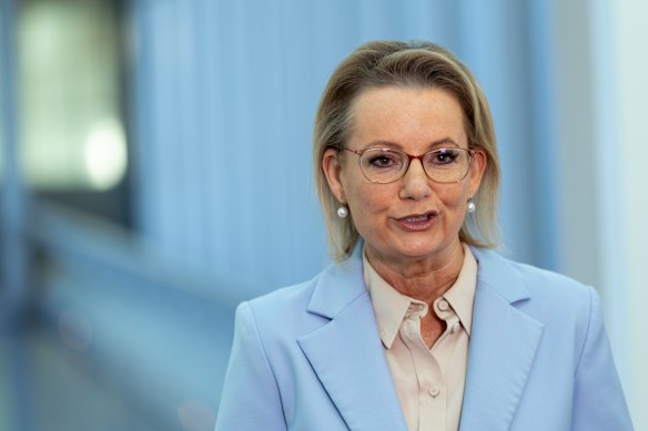 Former opposition leader Sussan Ley.