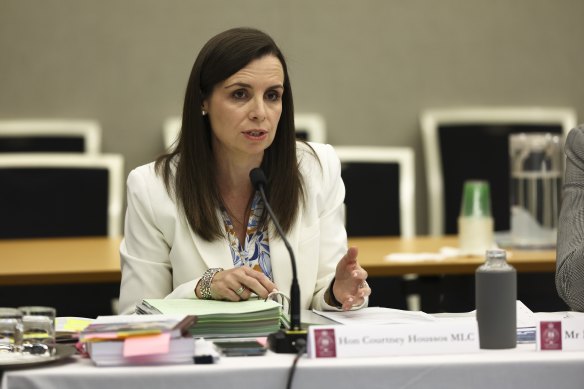 Finance Mininster Courtney Houssos says future NSW budgets will include a Performance and Wellbeing statement 