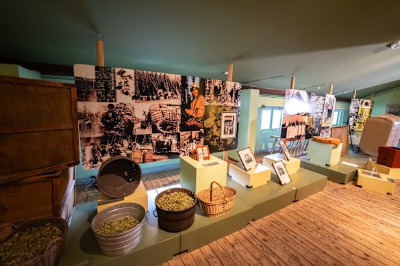 The Ecomuseum offers hands-on brewing sessions.