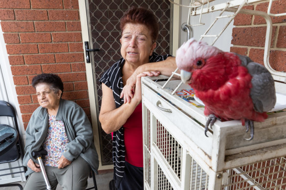 Honey Kemaneci (right) and sister Shelley Ahmet, with galah Freddy, had no idea their home would flood on October 14.