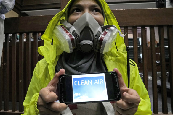 An activist wearing a face mask to represent those affected by air pollution during a protest before the judges announced their decision.