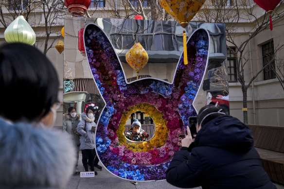 在北京的农历新年假期期间，一个蹒跚学步的孩子摆出一张兔子形状的插花的纪念照。
