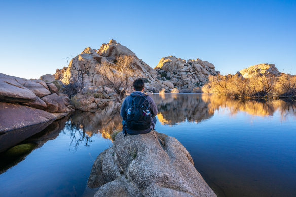 Joshua Tree National Park is a perfect backdrop for meditation.