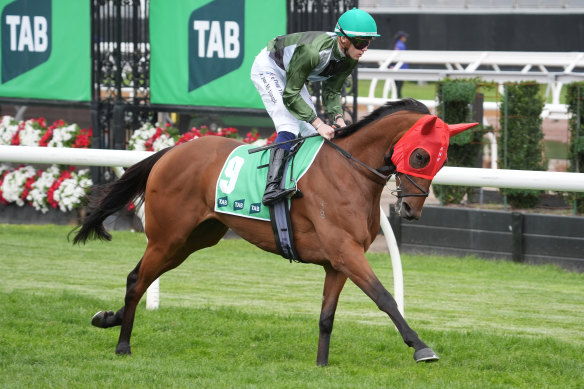 Dylan Browne McMonagle riding Little Mix in the Matriarch Stakes at Flemington last Saturday.