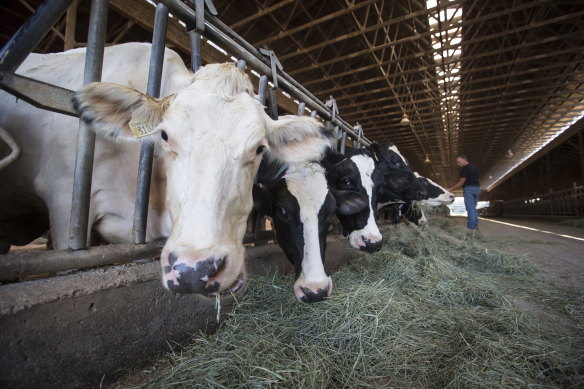 Meat producers are struggling with a lack of carbon dioxide supplies.