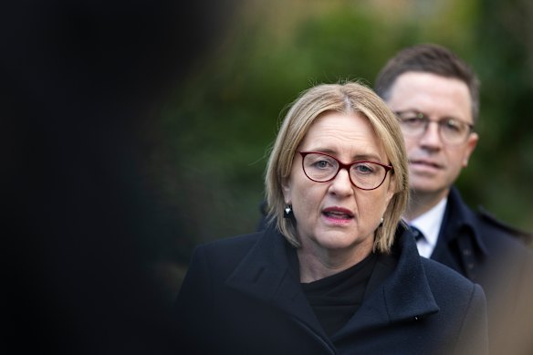 Premier Jacinta Allan has called pro-Palestine protesters who rallied outside the NGV on the weekend “extremists”.