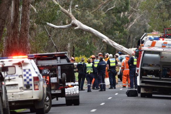Emergency services personnel at the scene of the crash on Thursday.