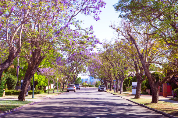 One of the streets in South Perth, famous for its canopy of Jacaranda trees.