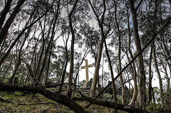 Parks Victoria is preparing to remove up to 150 mature snow gums, which are impeding the view of the war memorial.