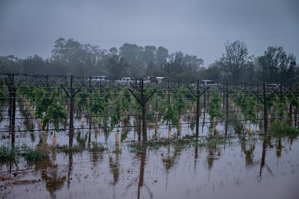 Flooding at Cardross near Mildura on Monday.