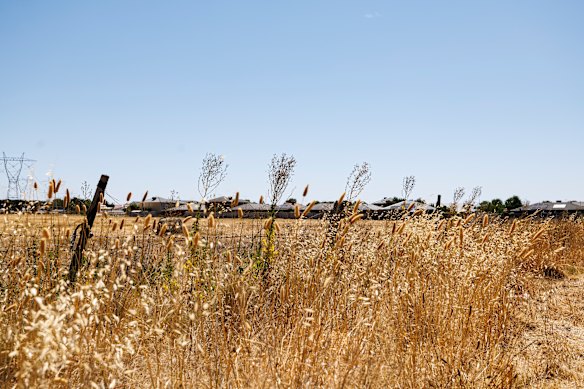 Melbourne heatwave: Tumbleweed spike in Melton creates messy fire ...
