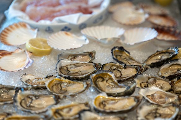 Oysters at the crudo bar. 