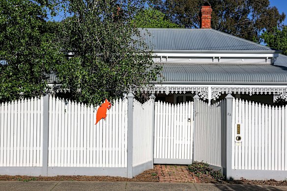 Named after her newsletter, and using the colour of her campaigns, the orange cockatoo has become synonymous with Haines. 