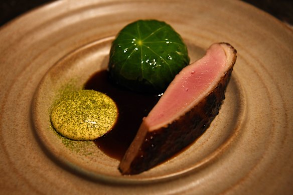 Duck with cabbage cabbage and duck analyst.