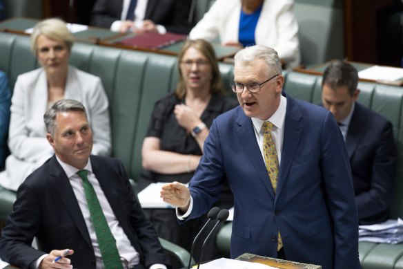 Immigration Minister Tony Burke during question time in November.