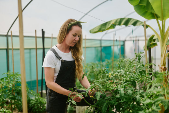 Simone Watts has greenhouses, orchards and a large kitchen garden to work with.