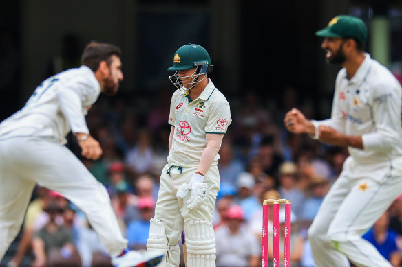 Pakistan rejoice at the fall of David Warner at the SCG.