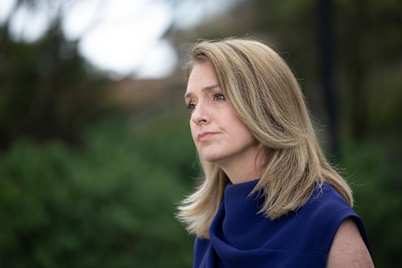 Opposition Leader Kellie Sloane said firearms reforms were rushed.