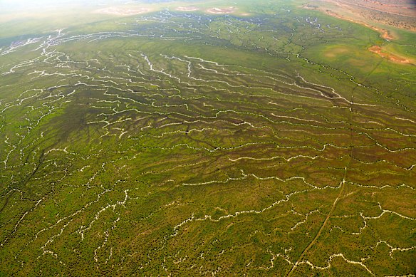 Origin eyeing ACT-size shale oil reserves under delicate Qld floodplains
