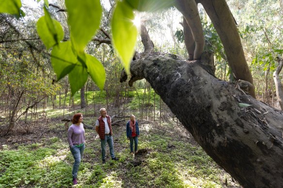 Most community members who participated in a consultation were opposed to the adventure course plan.