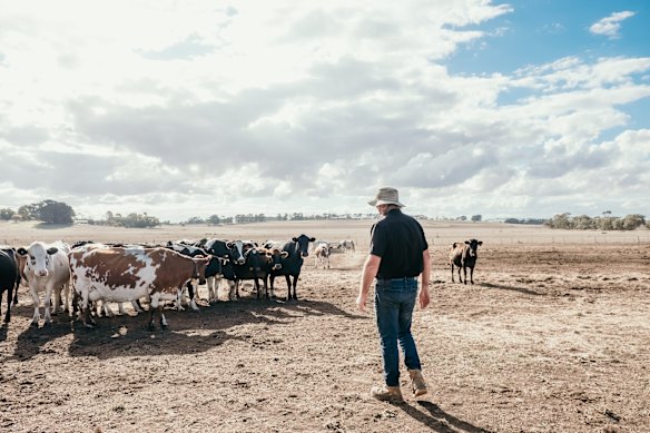 Victorian sheep and beef farmer Bernie Free on his property near Winslow,  where the effects of the drought are being felt.
