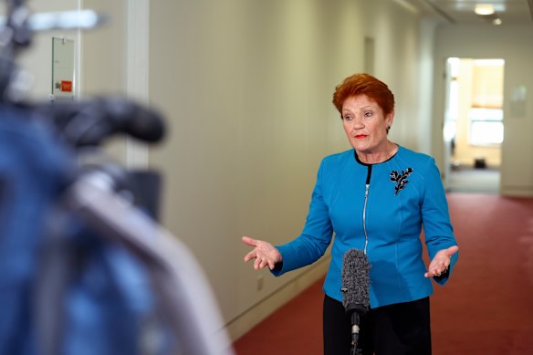 One Nation leader Pauline Hanson speaks at Parliament House in Canberra last month.
