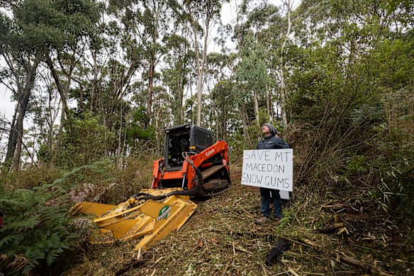 Parks Victoria will aim to clear the area by Anzac Day.