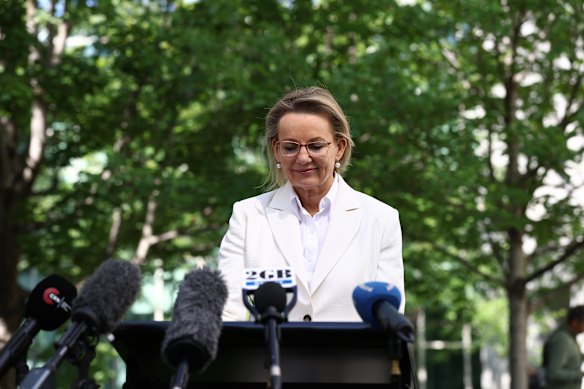 Sussan Ley during a press conference after losing the Liberal Party leadership to Angus Taylor.