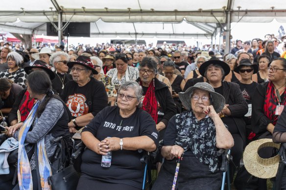 Maori rights: Thousands converge on Waikato to defend rights of