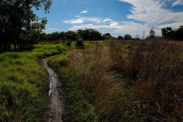 Westleigh Park on Sunday. Hornsby Shire Council was awarded a $40 million grant in 2018 for the Westleigh Park project.