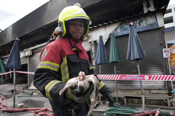Thai rescuer carries a rescued chicken from a fire at the Chatuchak weekend market in Bangkok on Tuesday.