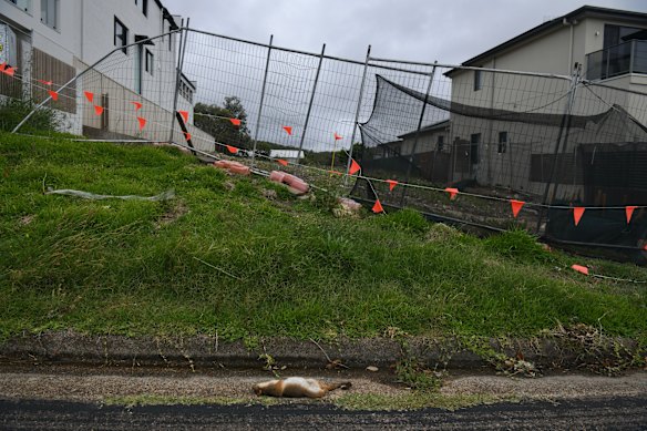 The empty block at Belmont, on which OneJesus Limited is seeking to build a three-storey luxury home. 